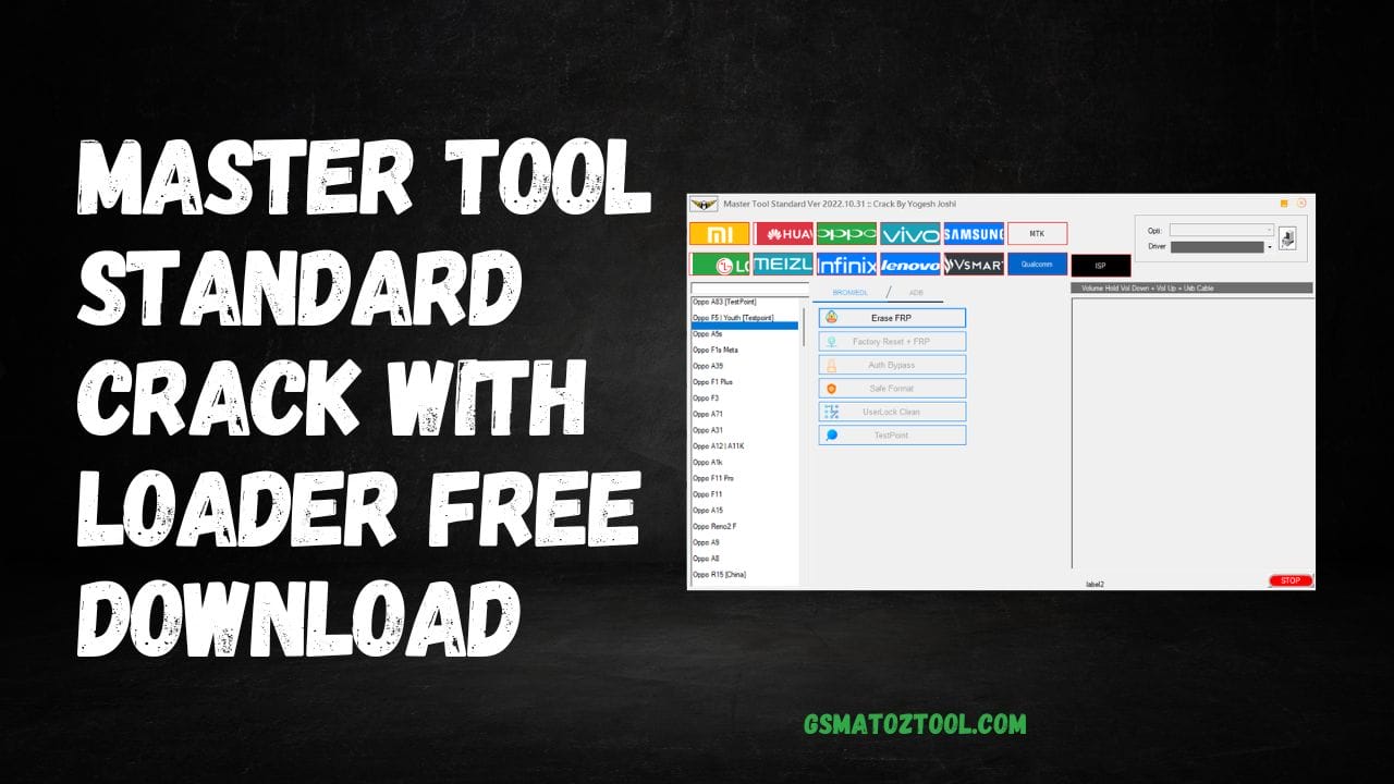 Master Tool Standard v2022.10.31 Crack With Loader Free Download